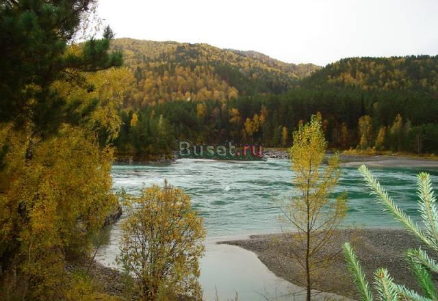 Участок на Алтае, Катунь, www.groundworld.narod.ru Новокузнецк