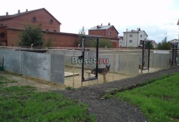 Собаки служебных пород 550 р. сутки,передержка Санкт-Петербург