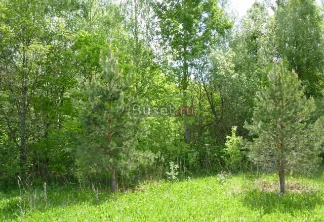 Уникальные земельные участки на террит.заповедник Москва