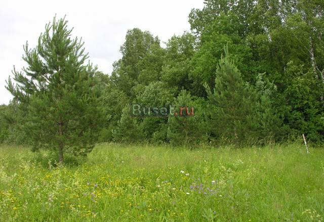 Участок на берегу Оки - самое широкое место реки Москва