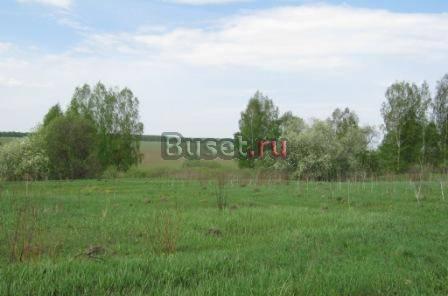 Участок 15 соток Москва