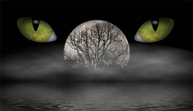 Магия -VIP Санкт-Петербург