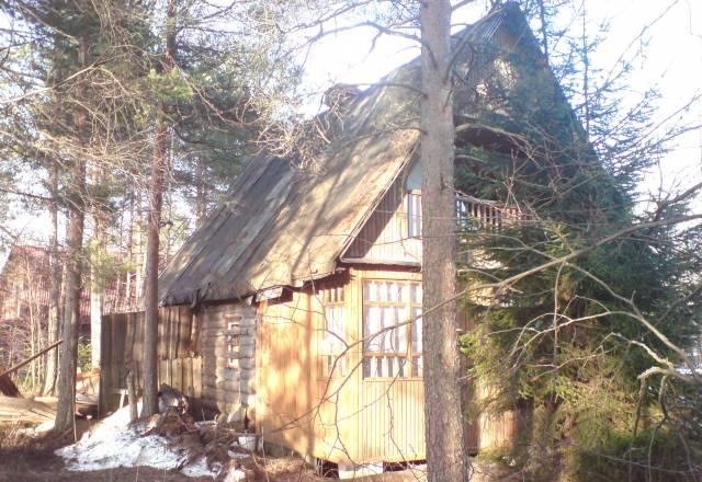 Выборгский р - он. Рощино 6 соток Санкт-Петербург