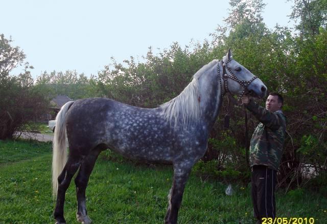 Вулкан Екатеринбург