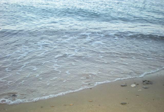 Аренда в Крыму Москва