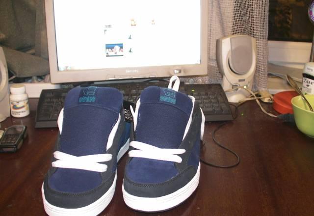 Etnies Alpha Navy/Blue/White Москва