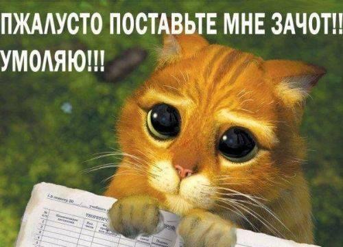 Курсовые рефераты дипломы контрольные Москва