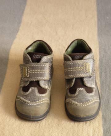 Ботинки фирмы ecco Москва