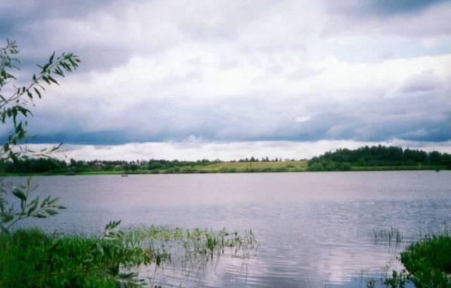 40 сот на р. Волхов Новг. обл Санкт-Петербург