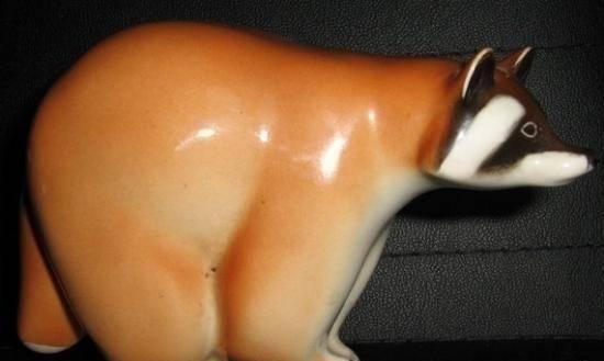 Енот, ЛФЗ Новосибирск