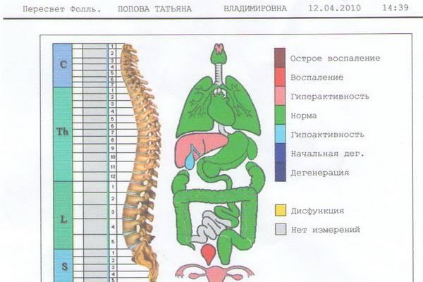Выявление паразитов у детей и взрослых Красноярск