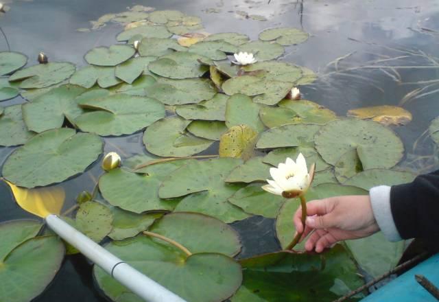 Резиновая лодка уфимка Санкт-Петербург