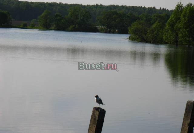 Участок 8 соток ижс у реки Ока и г Коломна Москва