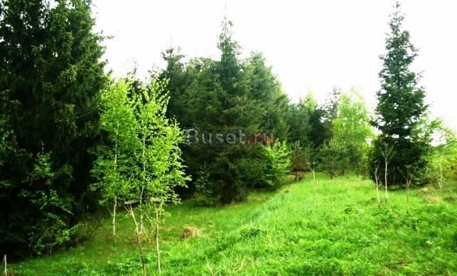 Лесные участки 800 метров до р.Оки Москва