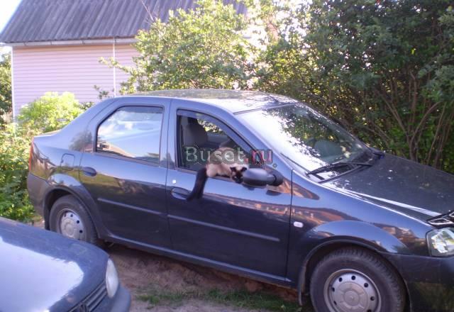 Renault Logan, 2008 Санкт-Петербург