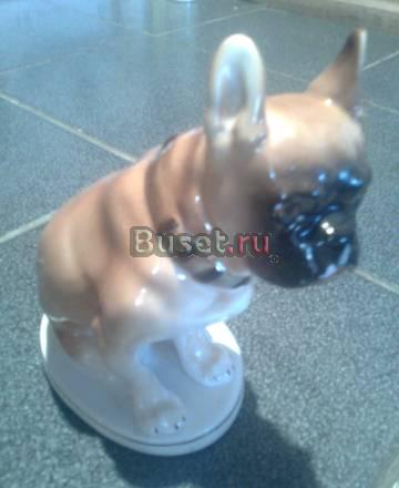 Бульдог лфз Санкт-Петербург