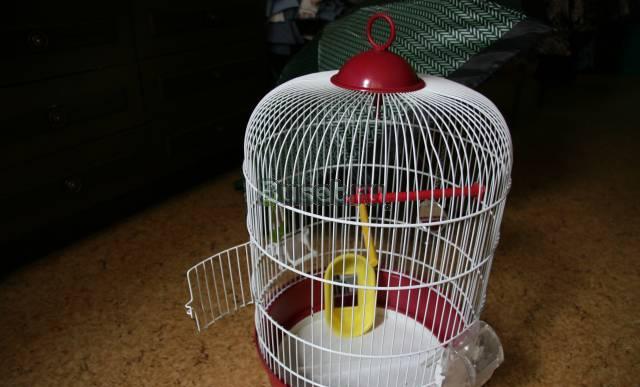 Клетка Москва