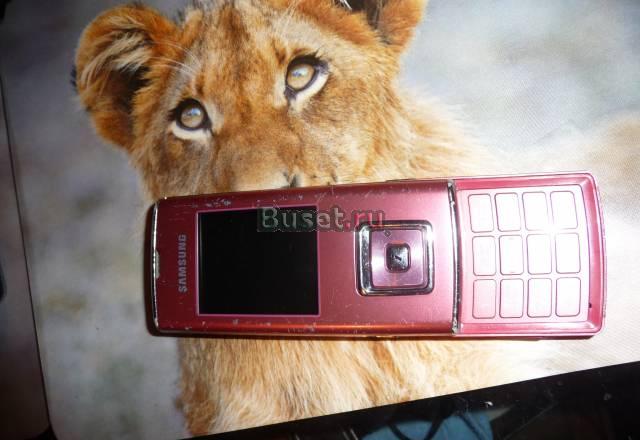 Samsung SGH-J600 Великий Новгород