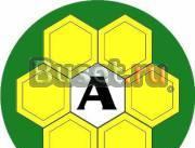 Мастер класс   Бесконтактного энергетического масс Москва