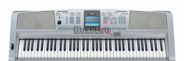 Yamaha dgx-305 Москва