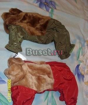 Новые утепленные комбезы йорк Москва