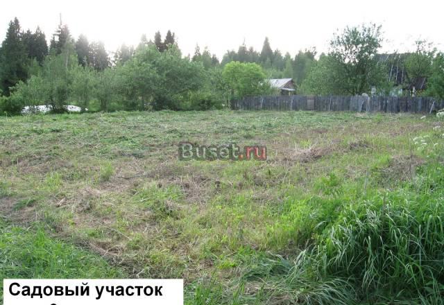 6 сот.125км.Дмит.ш.Большая река.Лес Москва