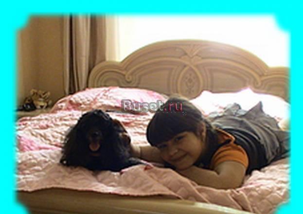 Зоогостиница Москва