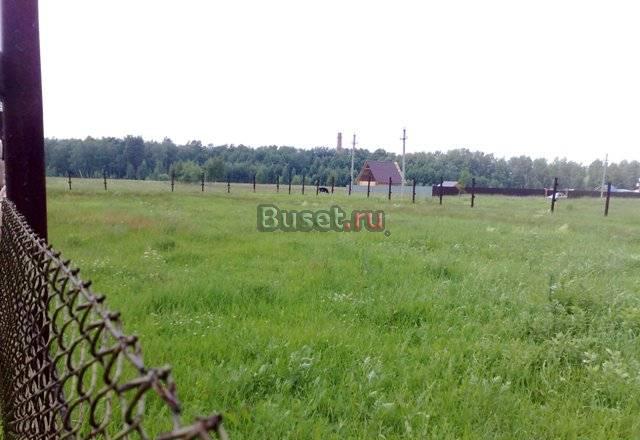 22 сот. ижс в д. Бабеево. 40 км. от МКАД Электросталь
