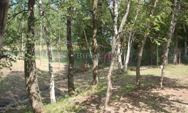 20 соток в деревне с лесными деревьями 55 км Москва