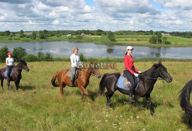 Отдых в деревне с обучением верховой езде Великие Луки