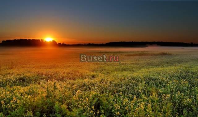 15 соток Волоколамский р-он, дер. Мусино Москва