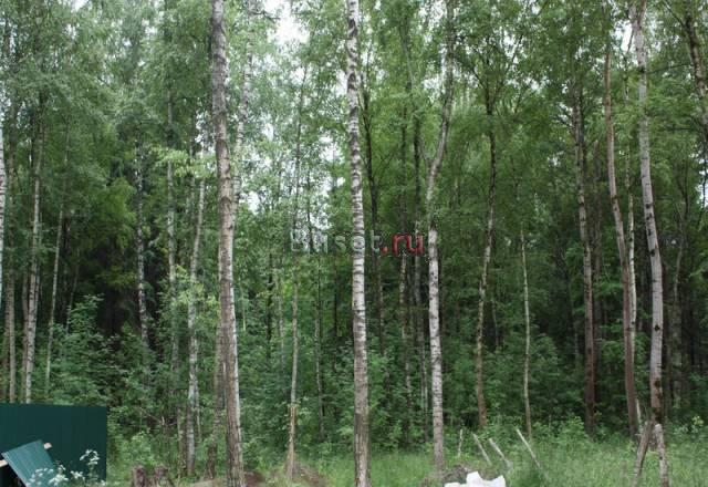 Ижс 15 соток 40 км газ, лес, асфальт Чехов