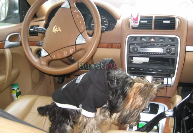 Porsche Cayenne, 2005 Москва