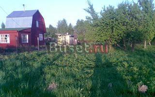 Участок 16 соток в д. Борисово Домодедово