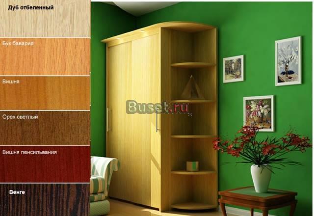 Шкаф-купе 2-хдверный 166(154)х240х60см Москва