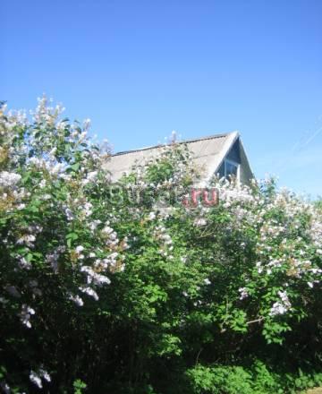 Дача в Воскресенском р-не Москва