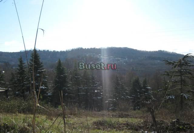 Земля сочи Сочи