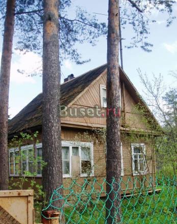 Дача в Кобралово, Березовая Роща Санкт-Петербург