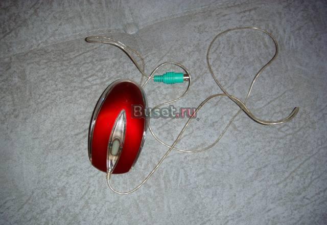 Мышь для компютера Саратов