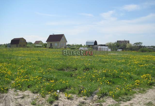 Кобралово (Павловск+5км) участок ижс 14 соток Санкт-Петербург