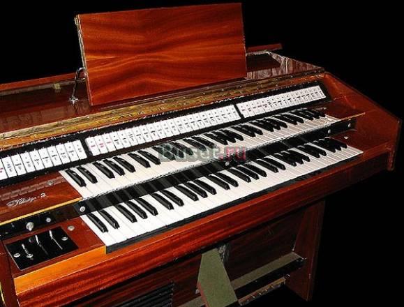 Органы Москва