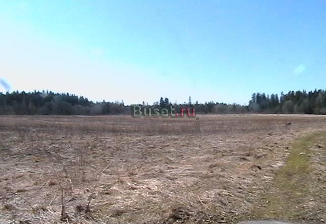 10 сот.42 км от СПб Гатчина