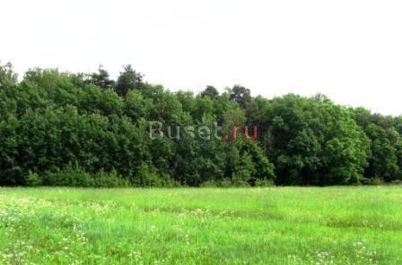 Участок 6 сот 10км от МКАД по Егорьевскому ш Москва