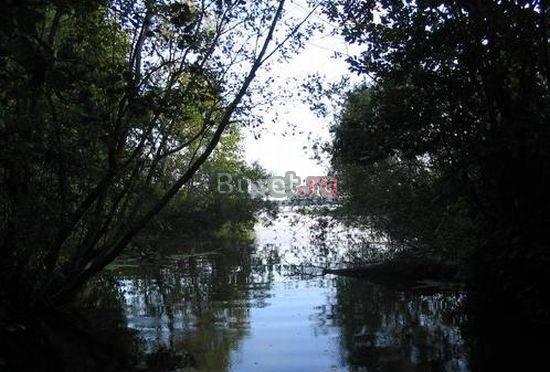 Участки от 1 Га по Новой Риге. 2000 за сотку Москва