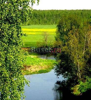 Участок на  Истре с готовыми коммуникациями Москва