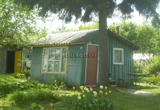 Гатчинский район, Строганово Санкт-Петербург