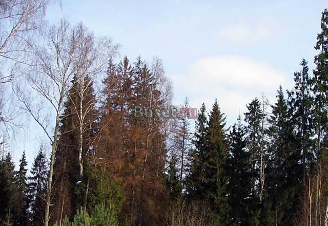 Продается  дом 130 кв.м., учас Москва