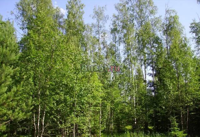 Чудесный участок в развитом сад-ве около Гаврилово Выборг