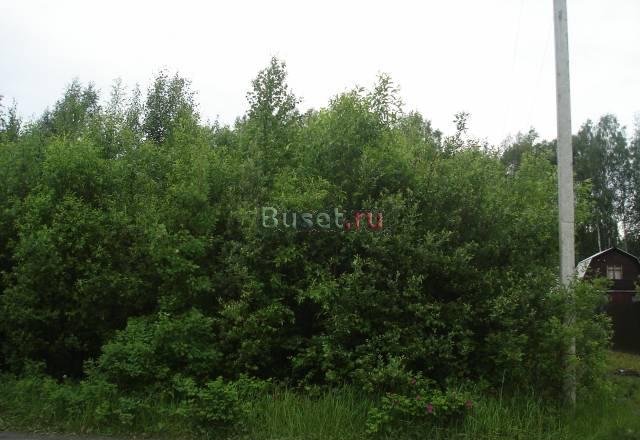 Участок 6 соток в СНТ, 65 км от МКАД , Щелковск Киржач