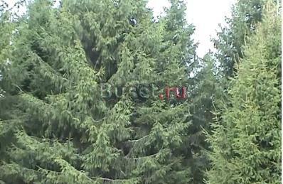 Земельный участок 24,4 сотки Москва